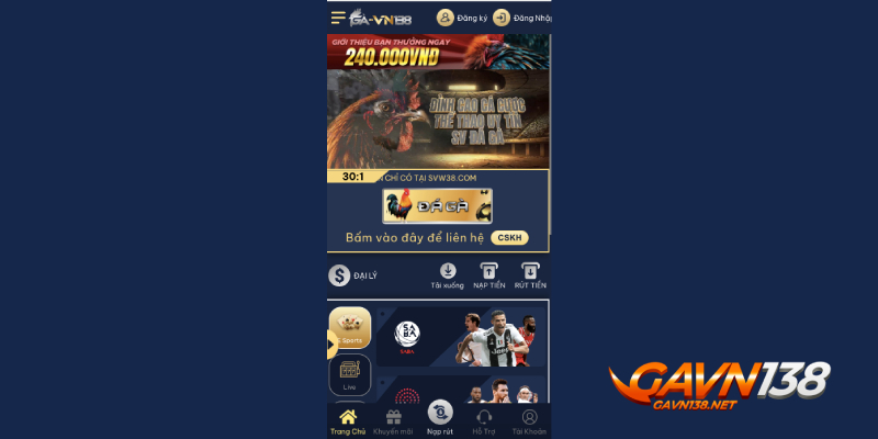 dang nhap gavn138 ca cuoc da ga