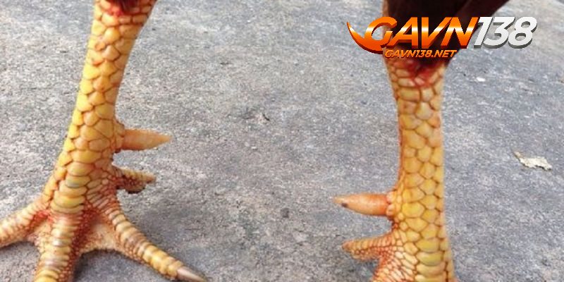 vay van can hoanh khai phan loai xem